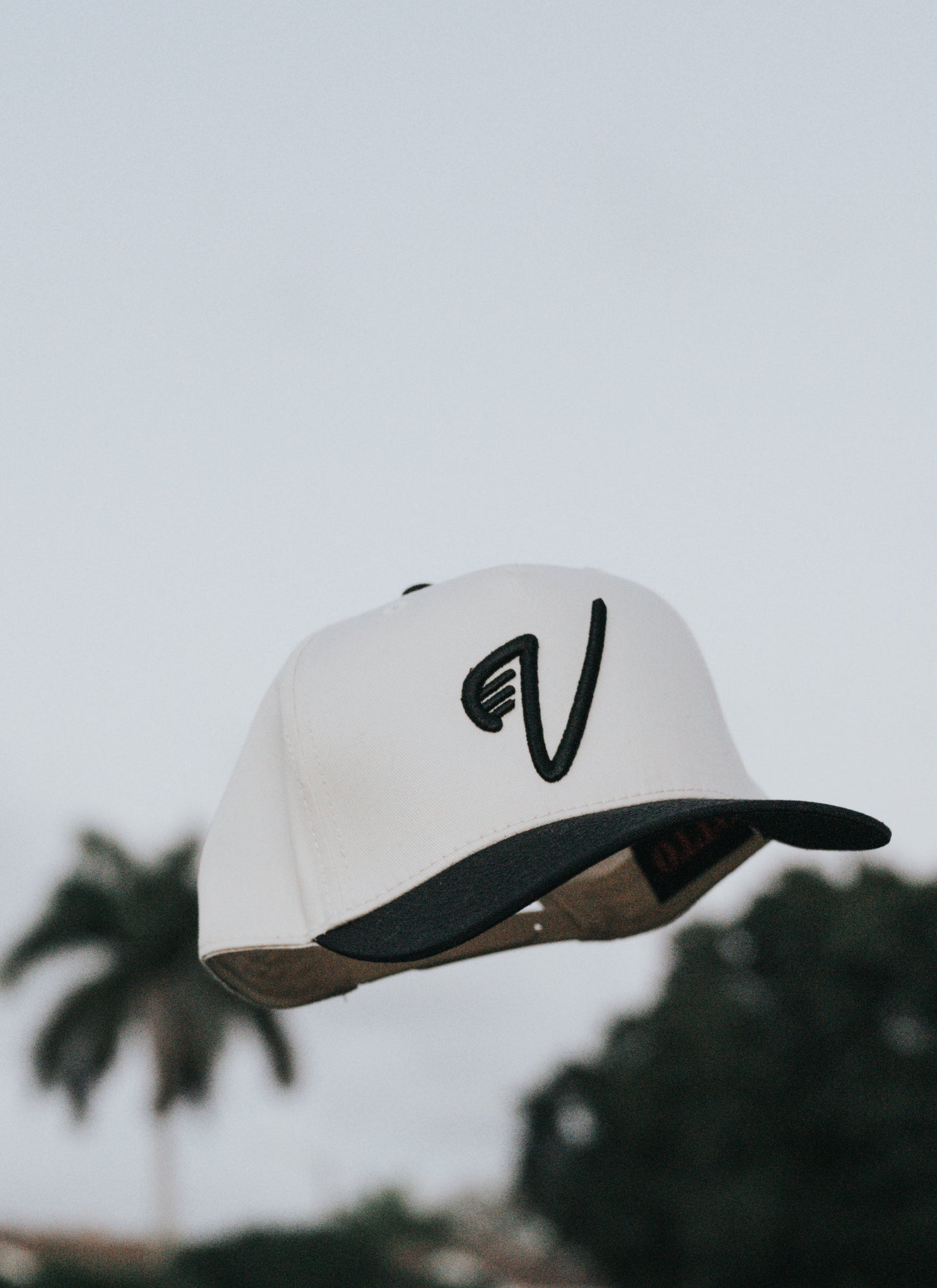 VGC 5-Panel Cap - Black & Tan